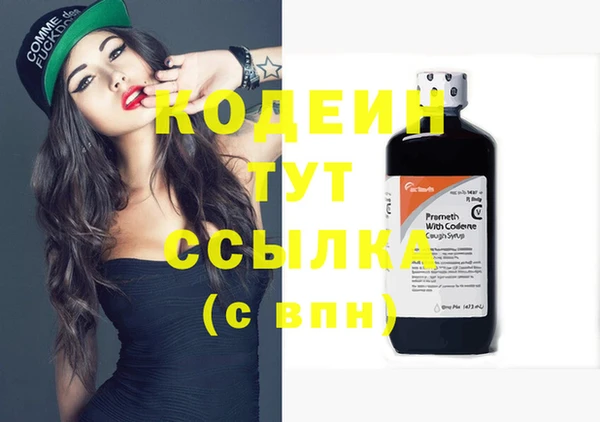 шишки Магас