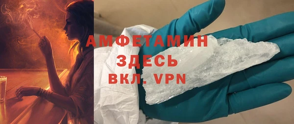 шишки Магас
