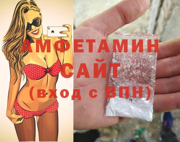 шишки Магас