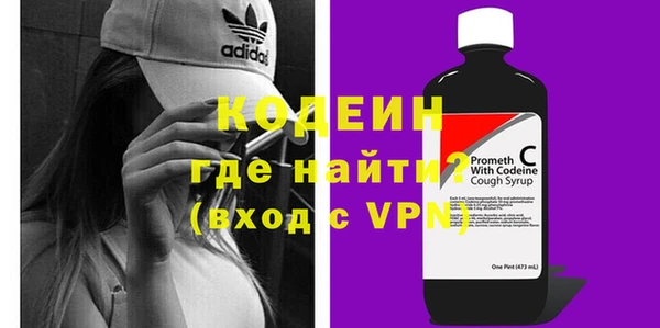 шишки Магас