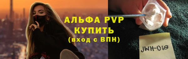 шишки Магас