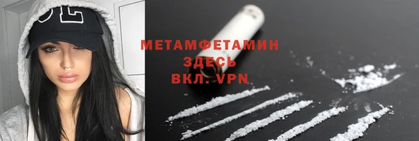 шишки Магас