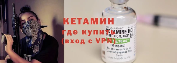 шишки Магас