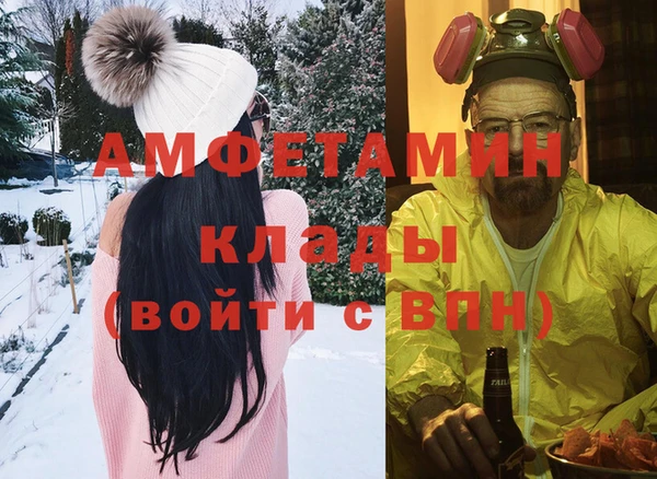 шишки Магас