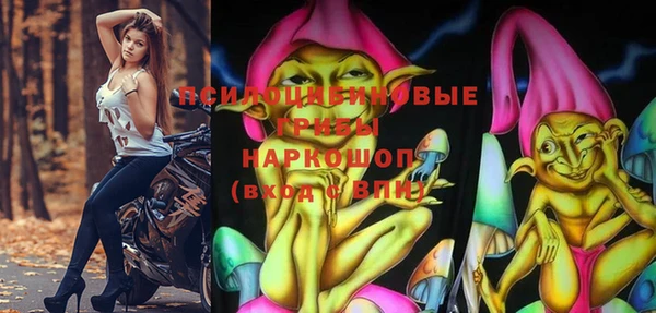 шишки Магас