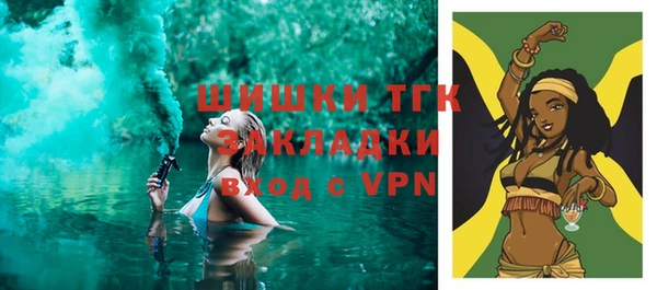 шишки Магас