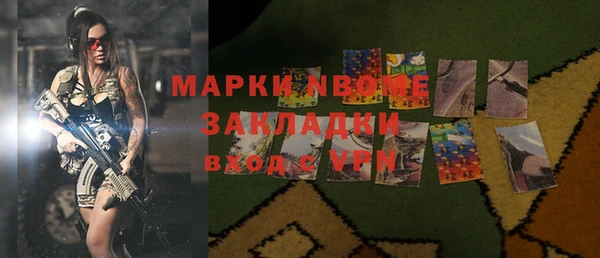 шишки Магас