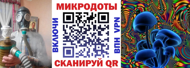 купить закладку Новоалександровск Галлюциногенные грибы GOLDEN TEACHER