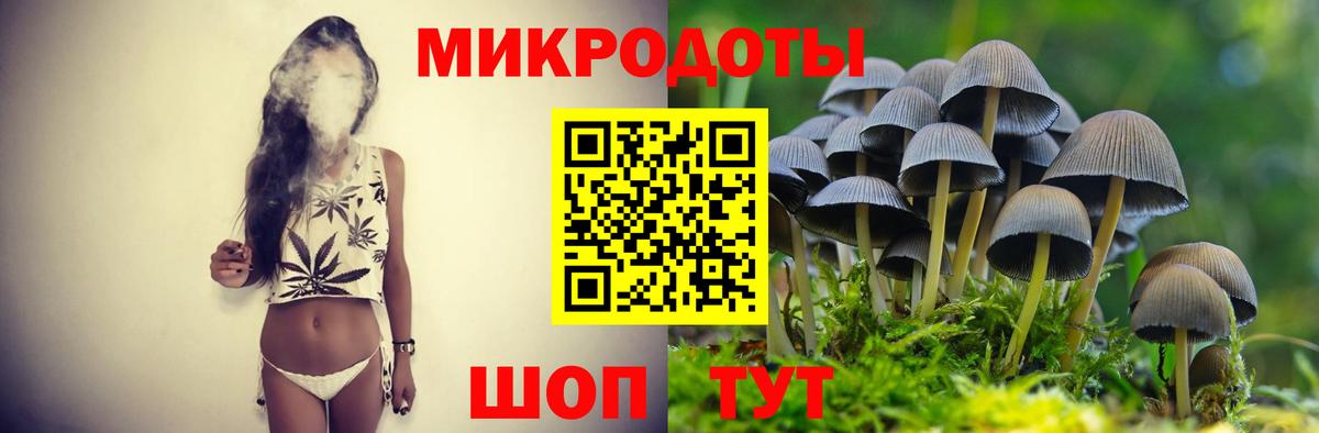 Новоалександровск  Галлюциногенные грибы MAGIC MUSHROOMS  Вход с VPN 