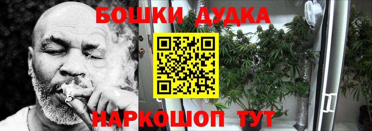 Шишки марихуана SATIVA & INDICA Новоалександровск