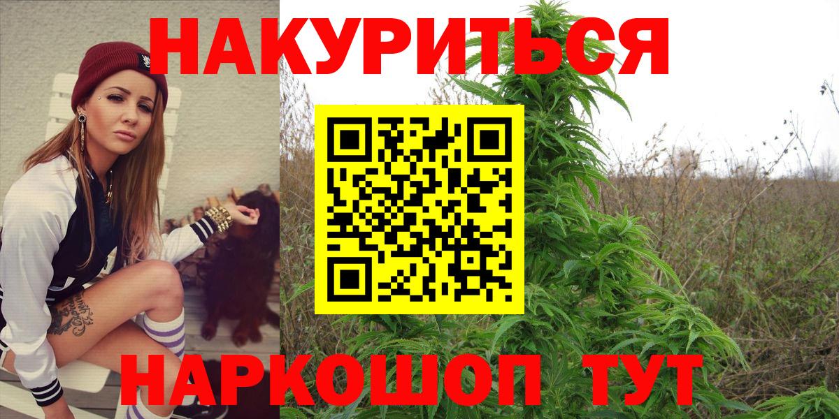 Шишки марихуана гибрид  Канабис план  Каннабис марихуана  Вход с VPN  Новоалександровск  Каннабис OG Kush 